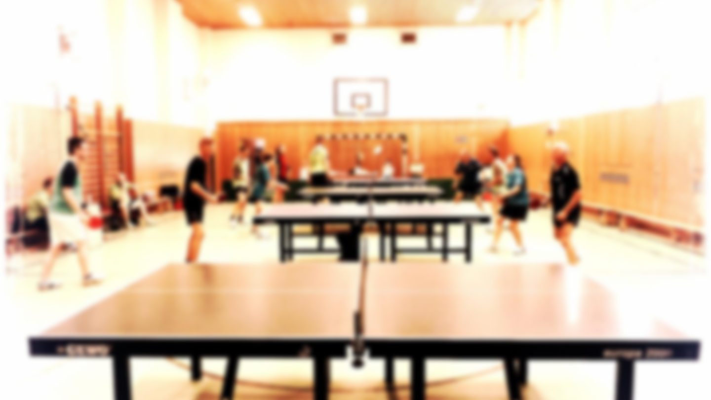 Die Sporthalle des Gymnasiums Wandlitz von innen.